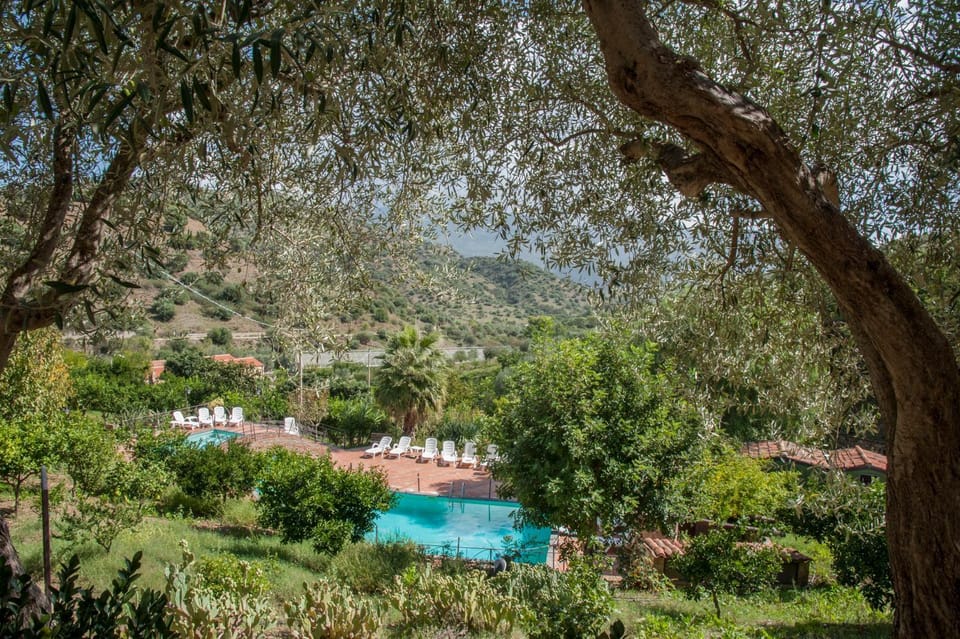Garden view, Pool view
