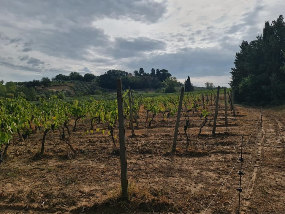 Relais Podere Borgaruccio, Wine Resort and Restaurant Farm Stay in Tuscany