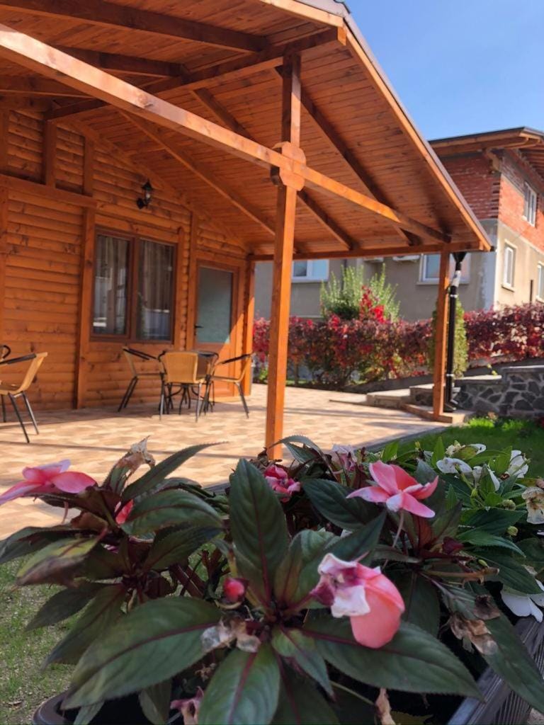 Patio, Garden
