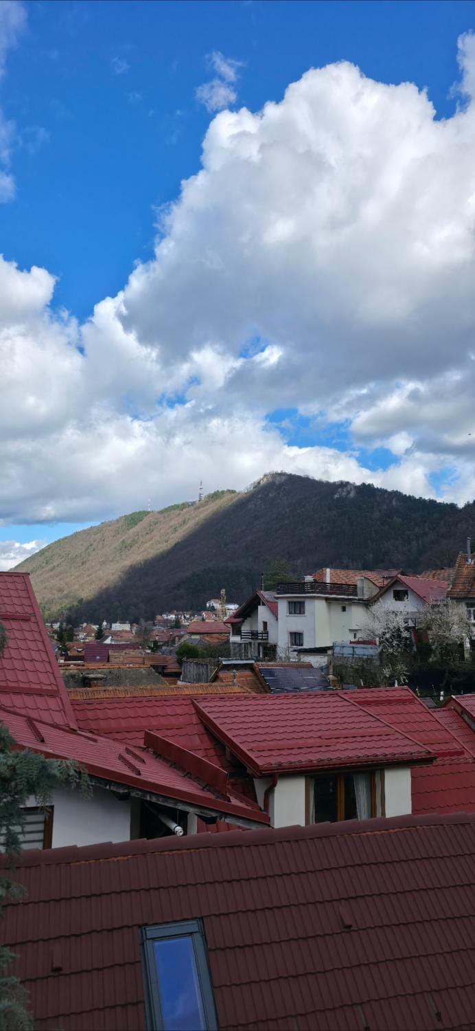 Roca House House in Brasov