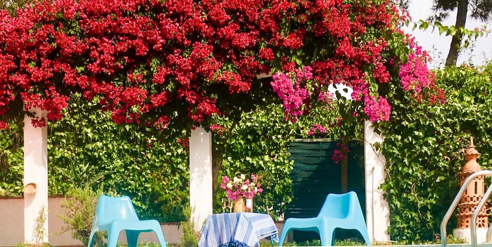 Day, Garden, Garden, View (from property/room), Garden view