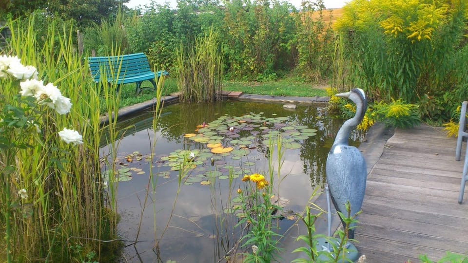 Lilac cottage Bed and Breakfast in Centre-Val de Loire