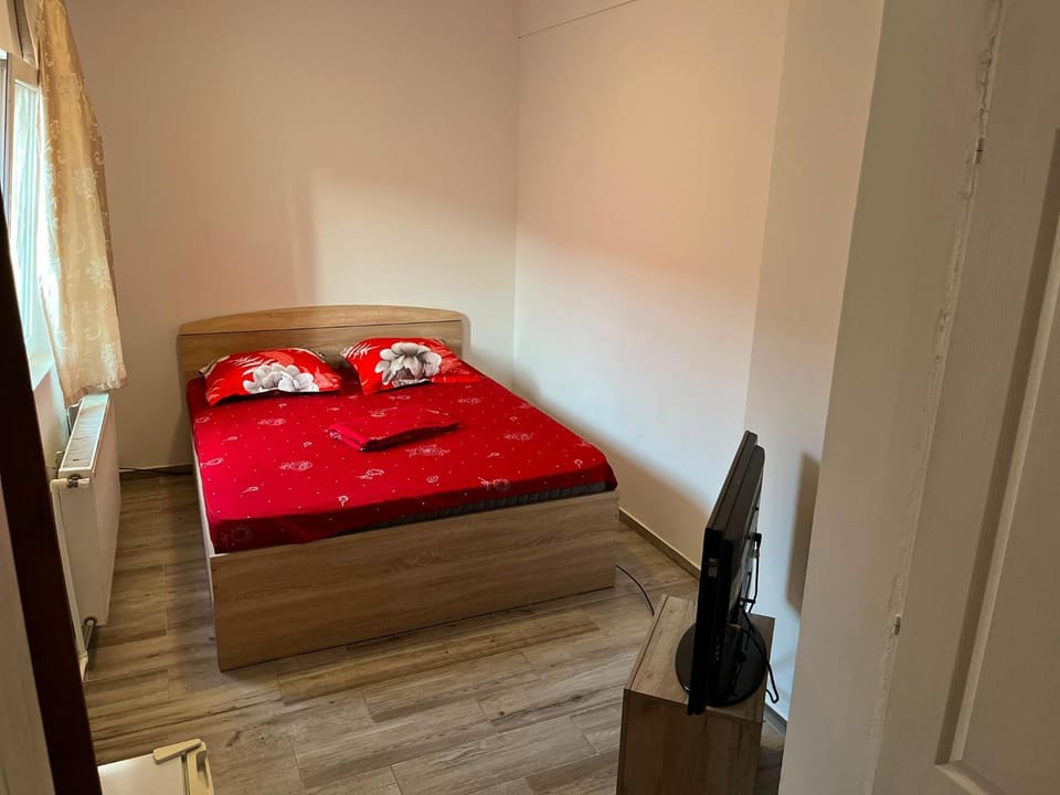 Pensiunea Florian Bed and Breakfast in Romania