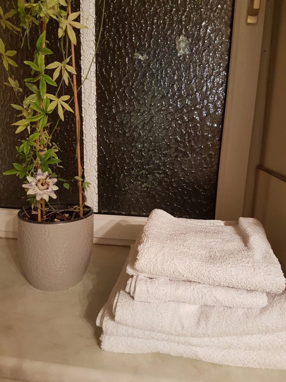 Ferienwohnung mit Anbindung zur City und Natur Apartment in Magdeburg