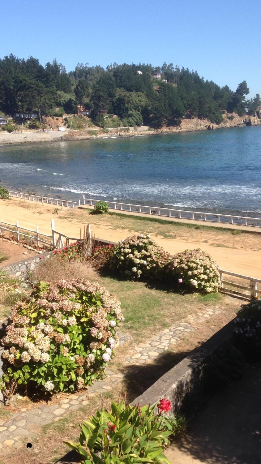 Beach, Garden view