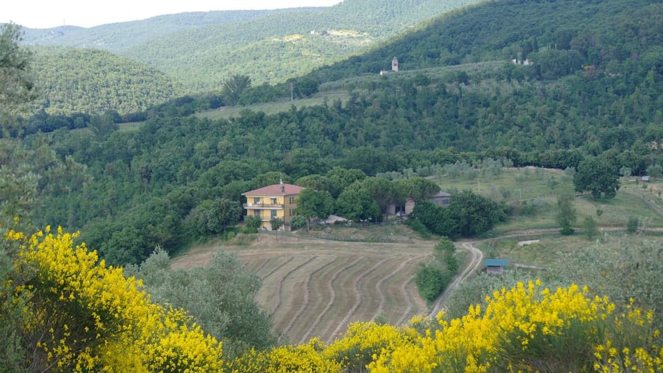 Garden, Balcony/Terrace, Landmark view