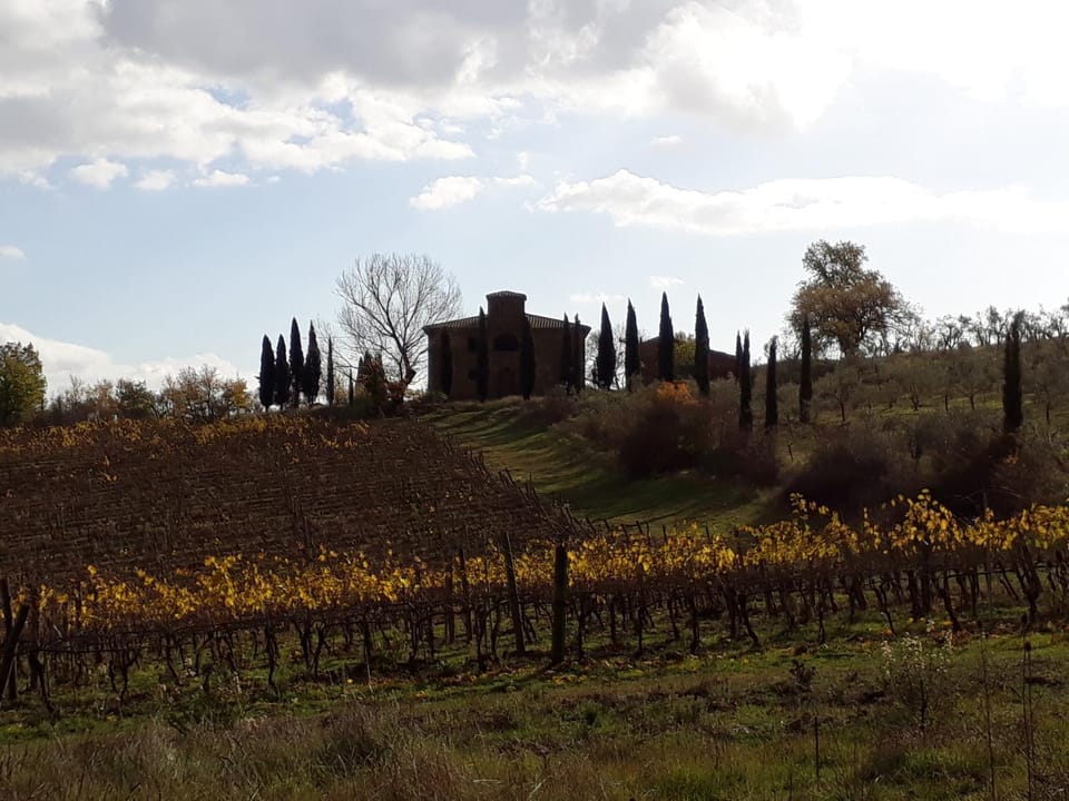 Nearby landmark, Neighbourhood, Natural landscape, Garden, Autumn, Garden view, Landmark view, Location