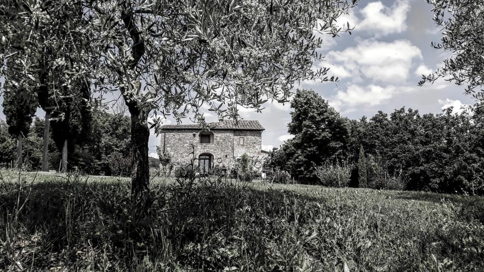 Garden, Garden