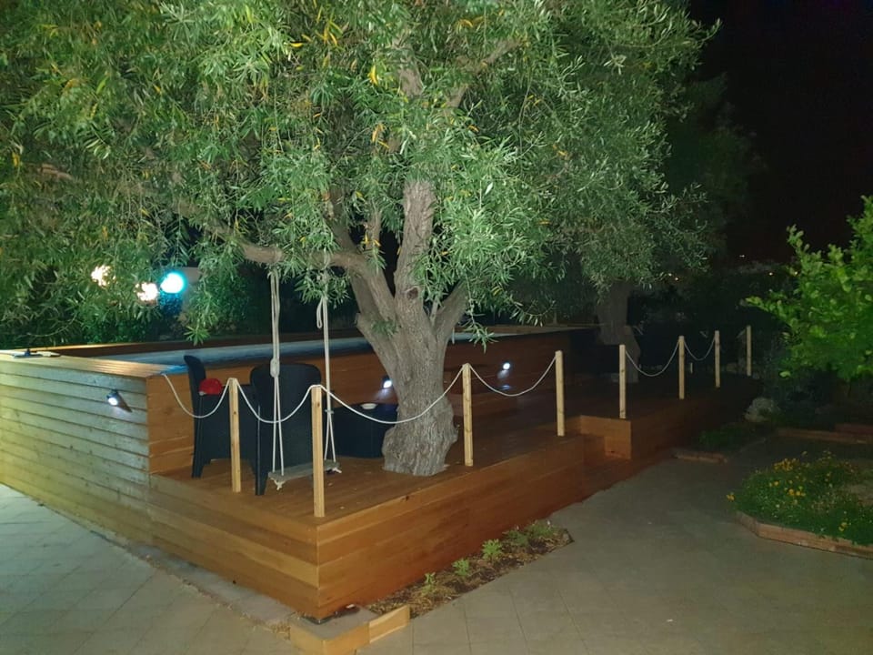 Garden, Swimming pool