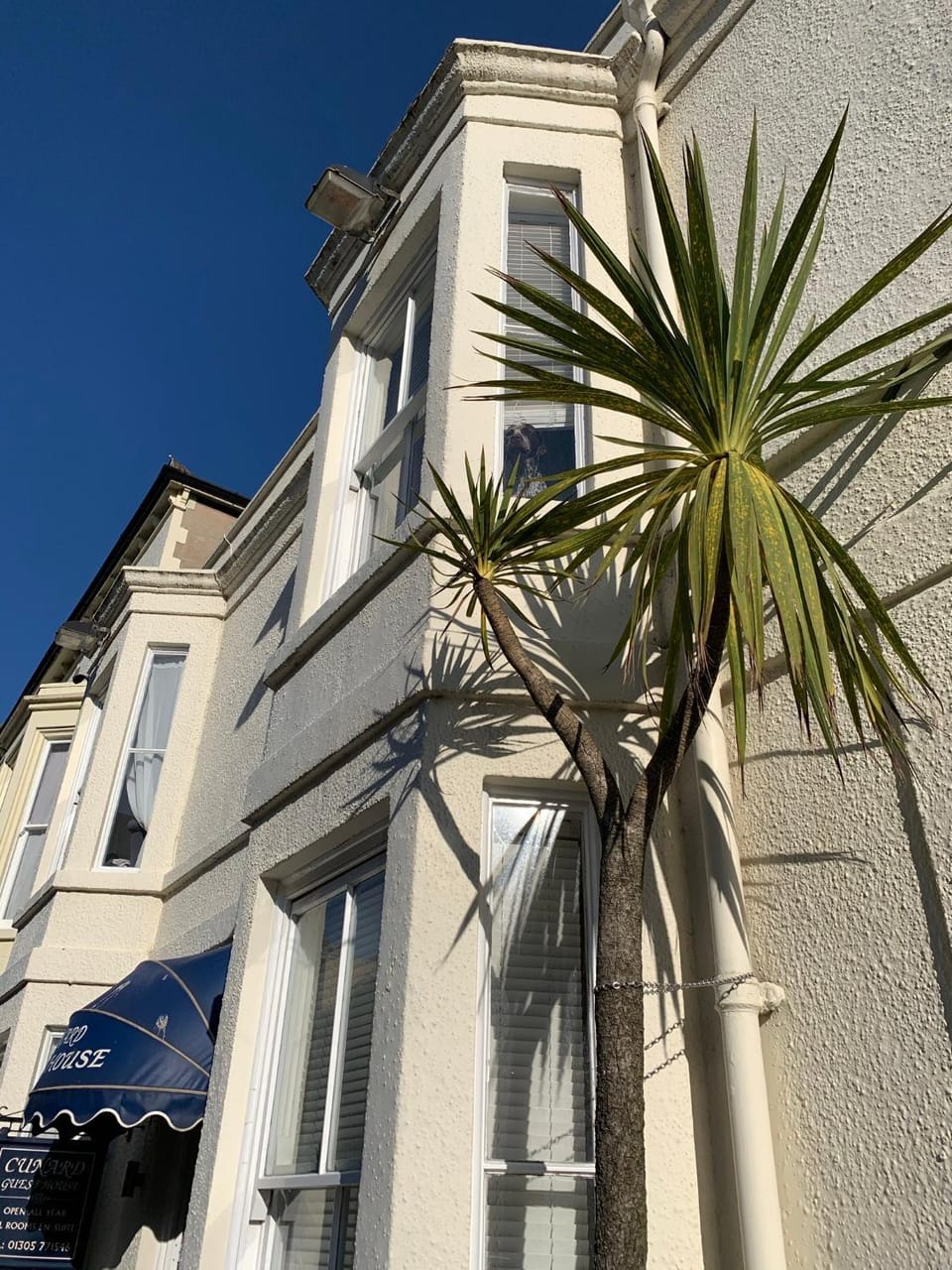 Property building, Day