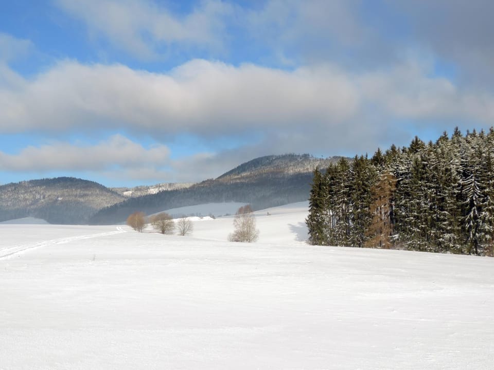 Natural landscape, Winter, Garden, Hiking, Landmark view, Mountain view