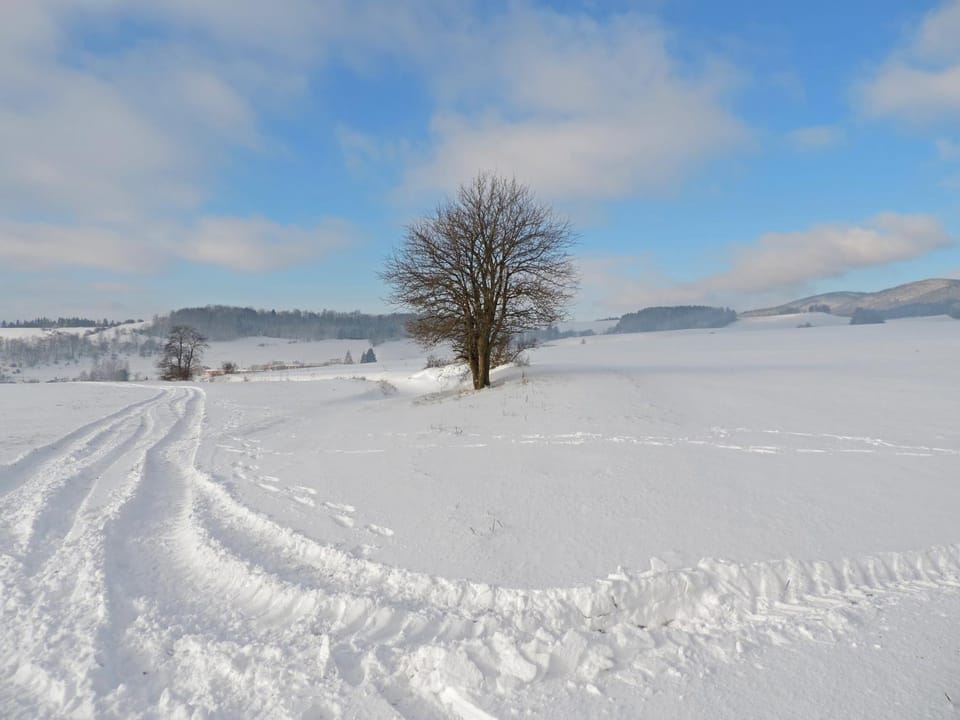Natural landscape, Winter, Hiking