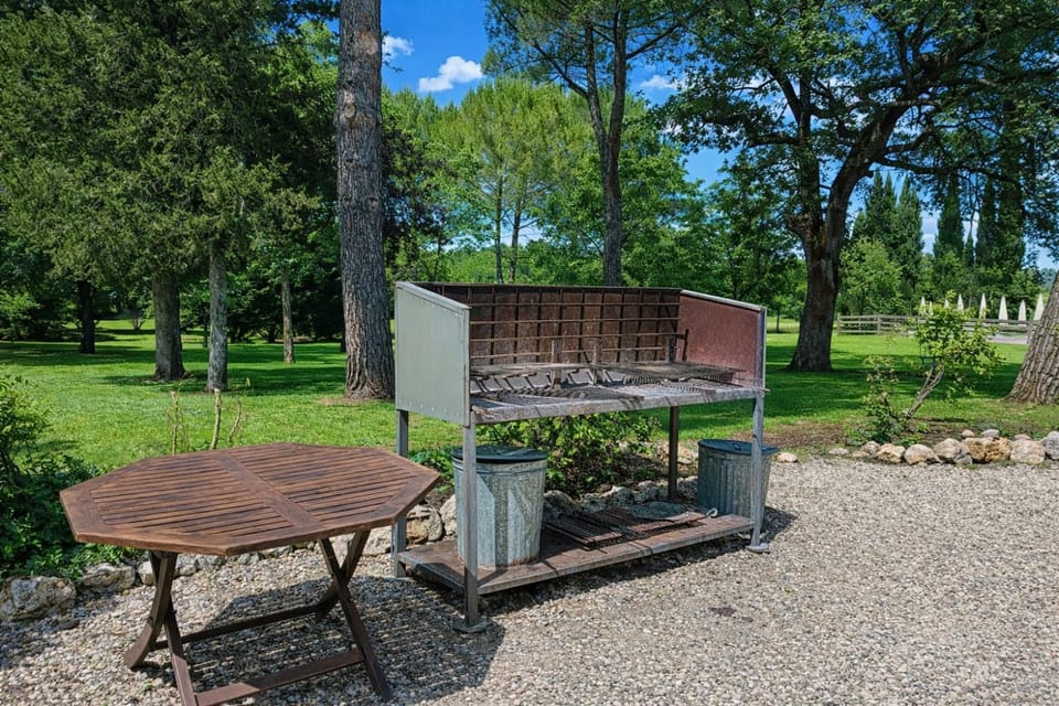 Spring, Day, Natural landscape, BBQ facilities, Garden, Garden view