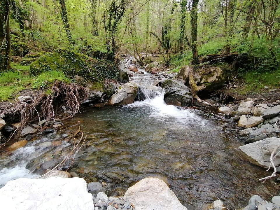 Natural landscape, Hiking