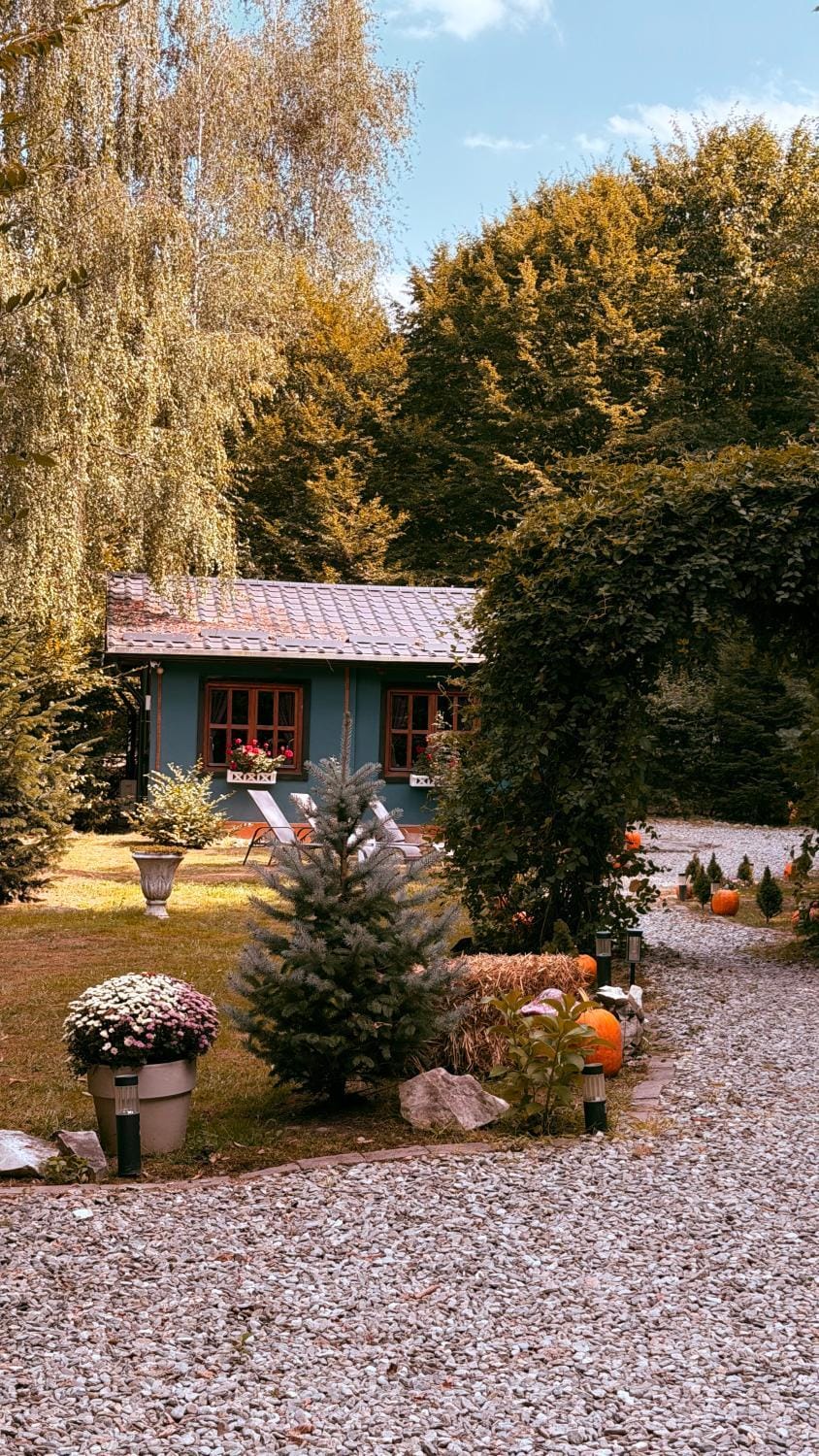 Montebello Chalet House in Romania