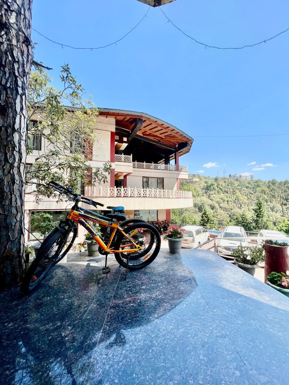Property building, Cycling