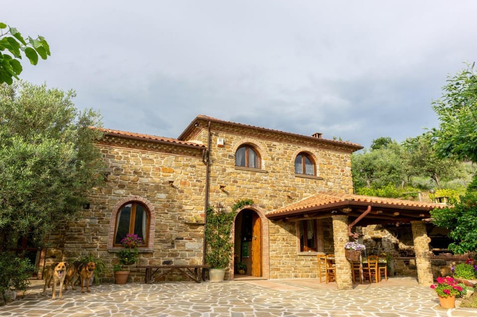 Facade/entrance, Garden