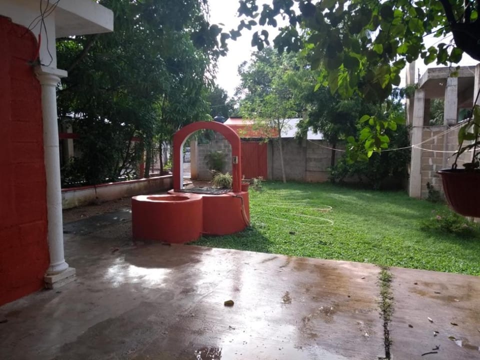 Hospedaje Papagrande Bed and Breakfast in State of Quintana Roo