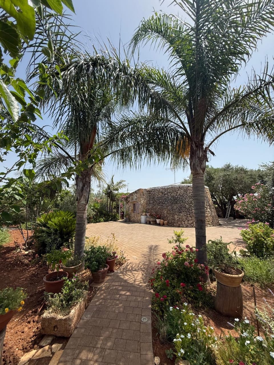 Day, Garden view