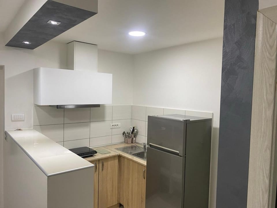 Djukic apartman Apartment in Vojvodina