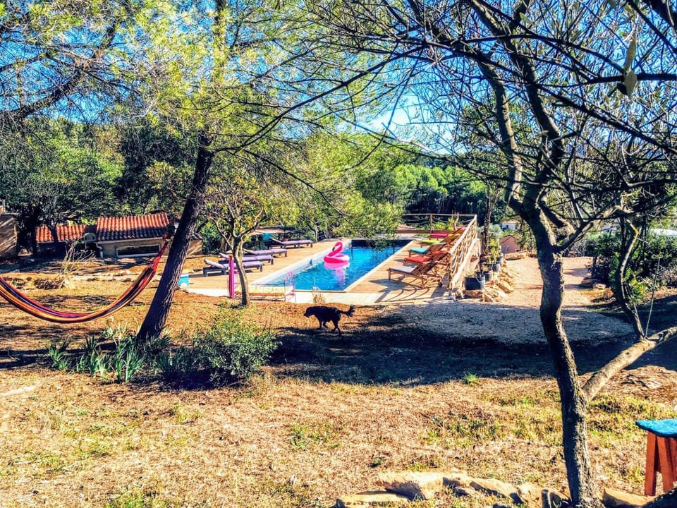 Garden, Garden view, Pool view, Swimming pool, Swimming pool
