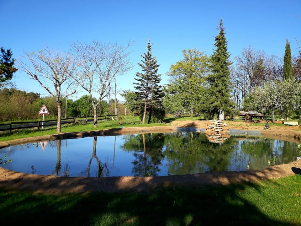 Natural landscape, Garden