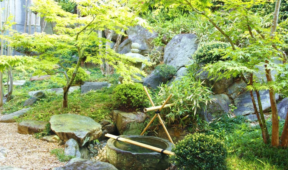 Natural landscape, Garden