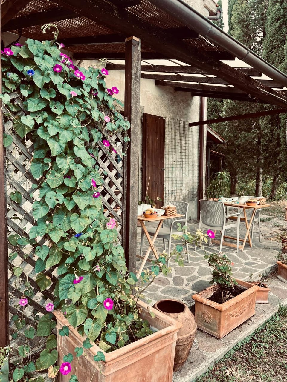 Podere Pinzicalari Bed and Breakfast in Tuscany