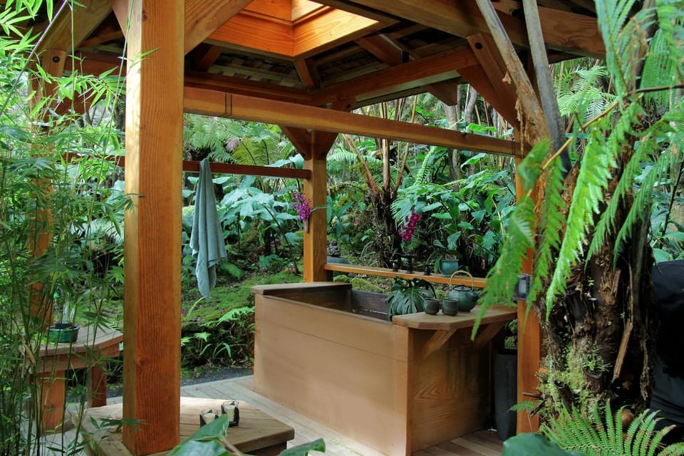 Hot Tub, Public Bath