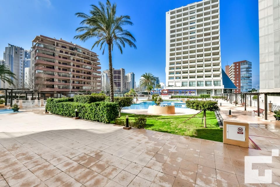 Garden, Swimming pool