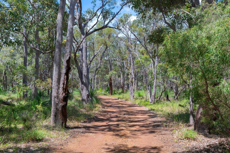 Sequoia Sanctuary - Margaret River House in Margaret River