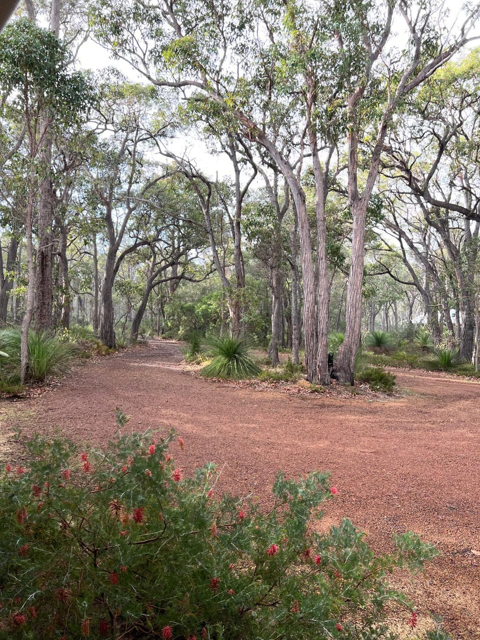 Sequoia Sanctuary - Margaret River House in Margaret River
