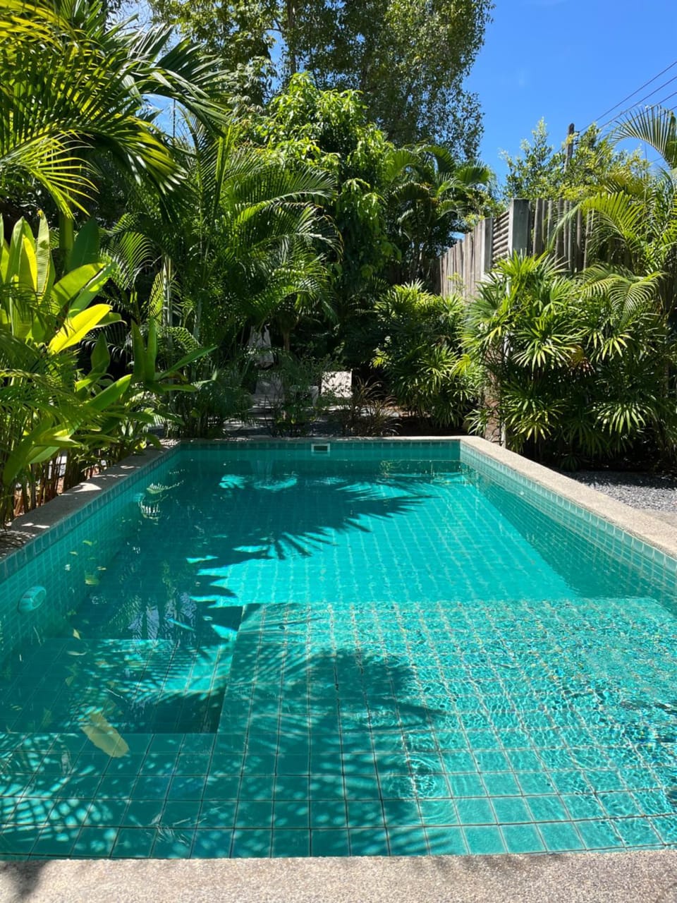 Garden, Swimming pool