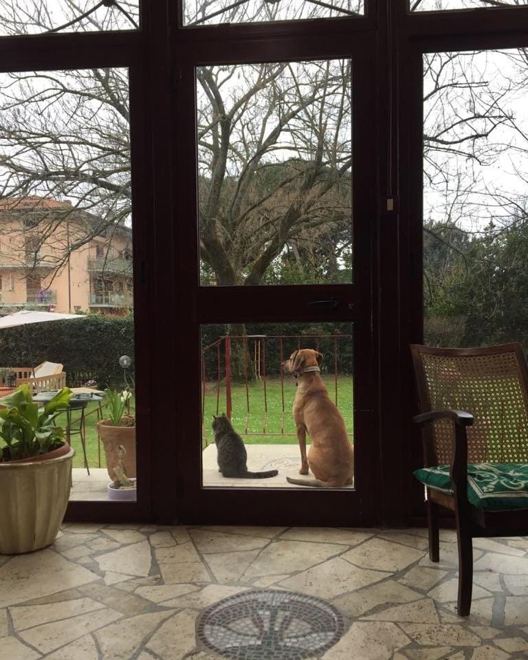 B&B Villa Acero Bed and Breakfast in Marina di Carrara