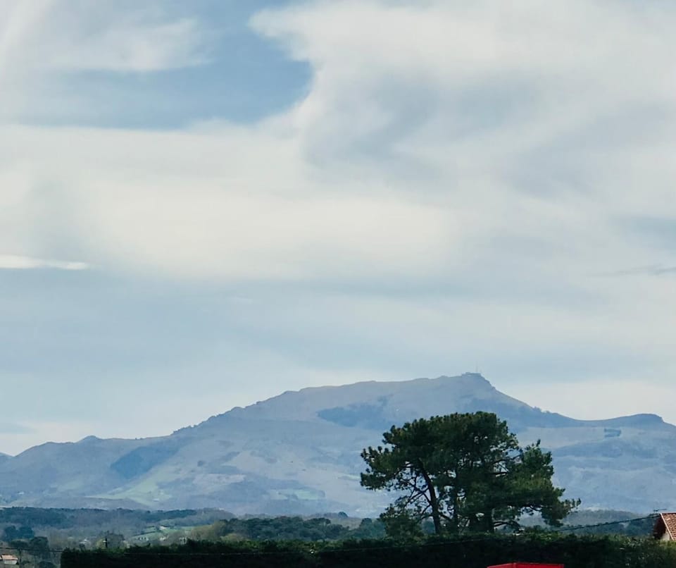 View (from property/room), Mountain view