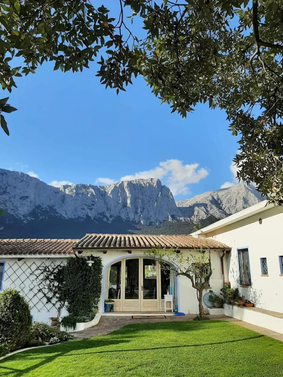 Day, Mountain view