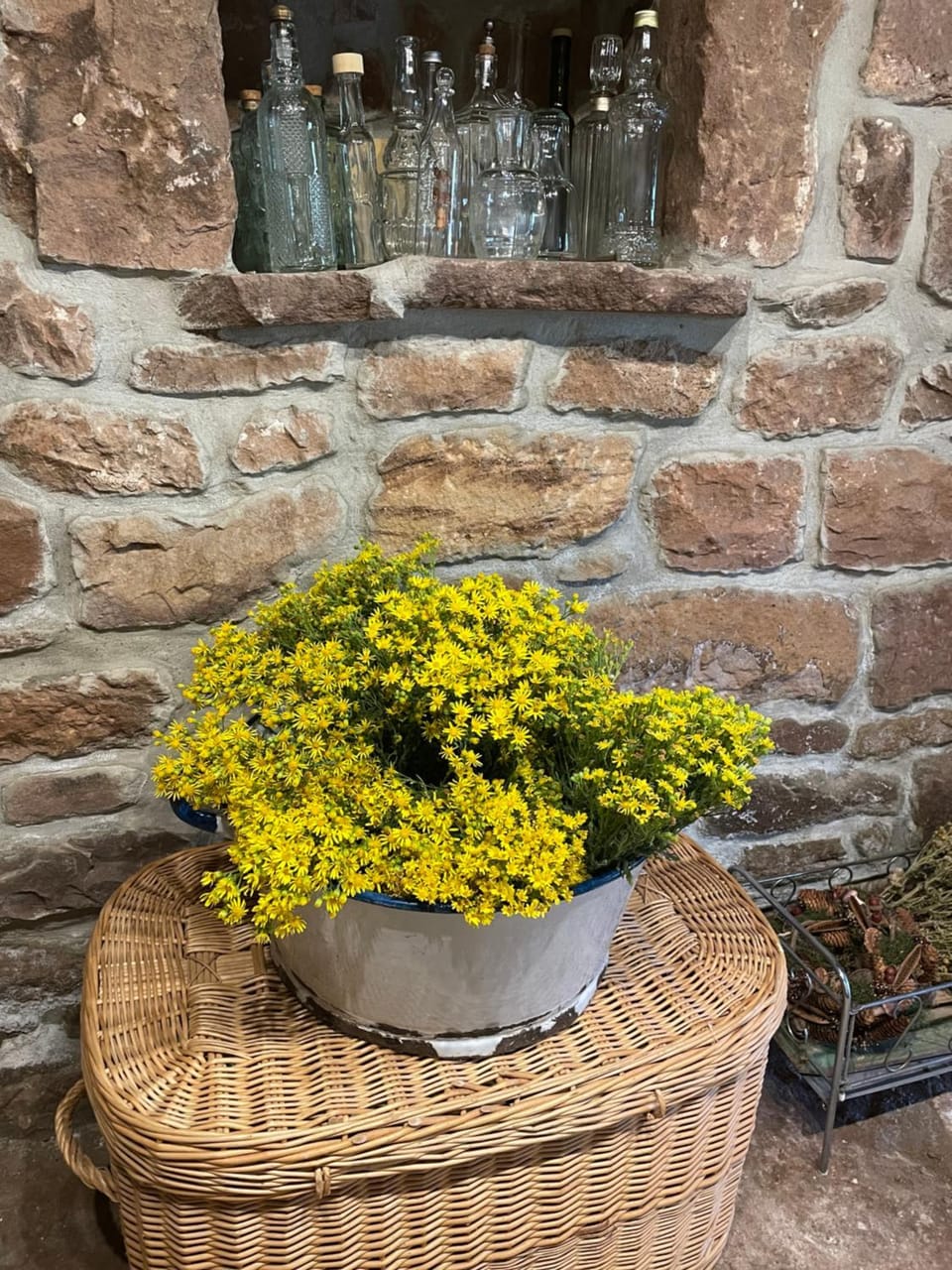 El Rincón de Golobar en Brañosera House in Cantabria