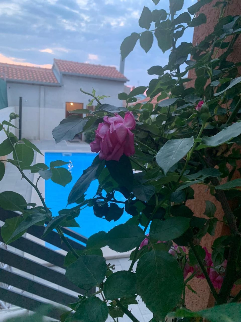 Pool view
