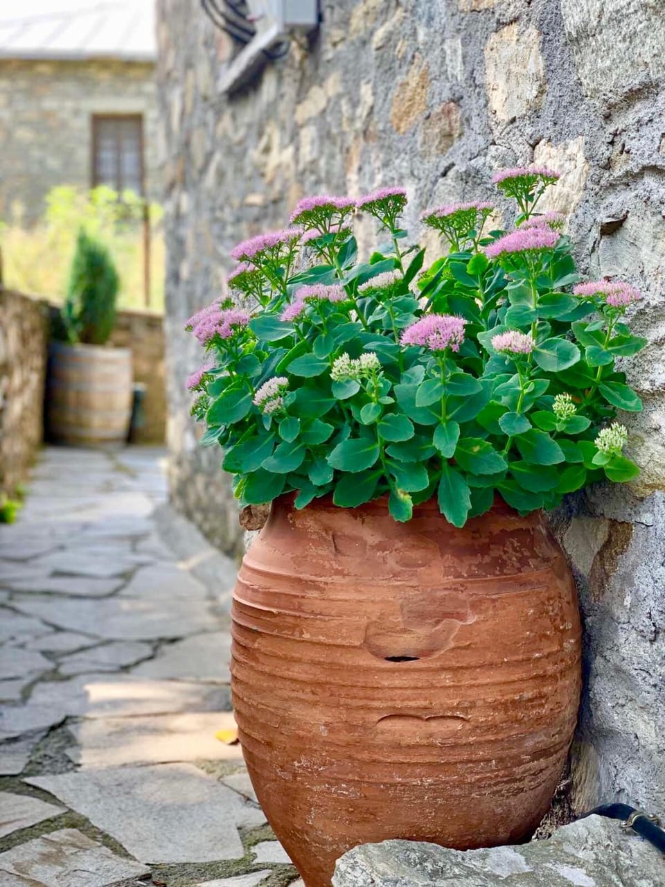 Πέτρινο παραδοσιακό σπίτι "Χιονάτη" House in North Macedonia