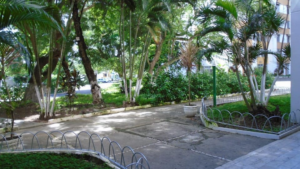 Property building, Patio, Garden