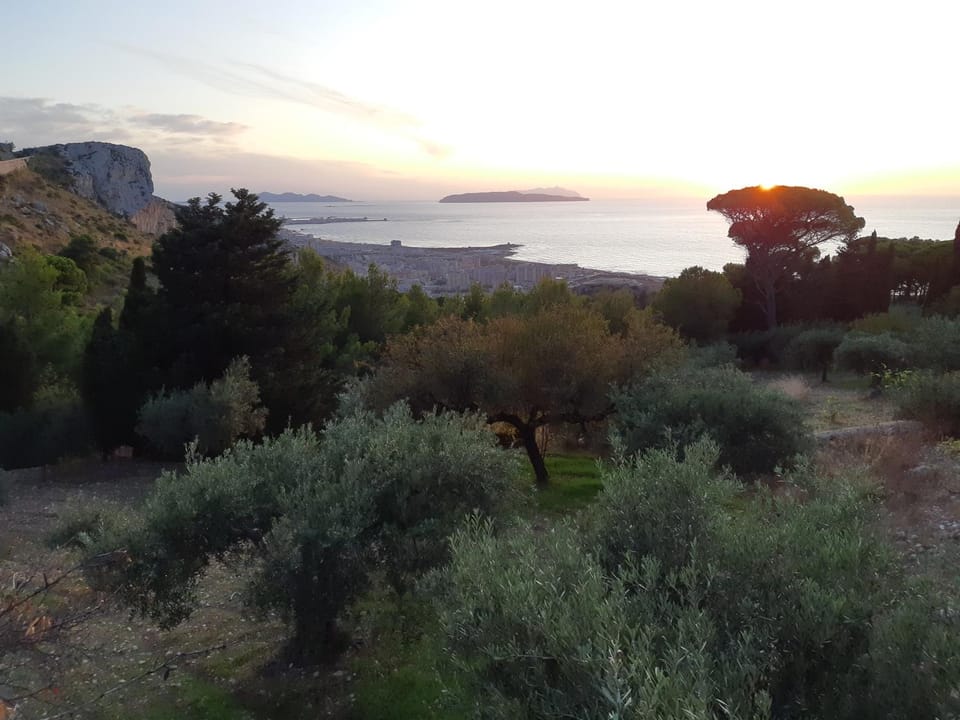Casa "Le Terrazze" House in Sicily