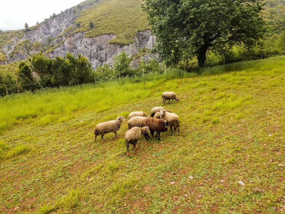 Agriturismo Terrerosse Di Massadita Farm Stay in Basilicata