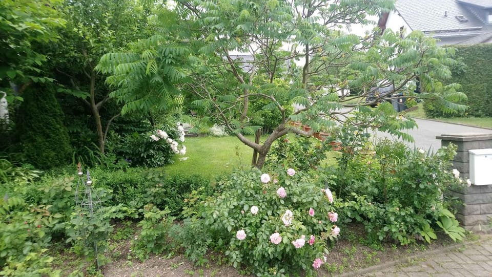 Summer