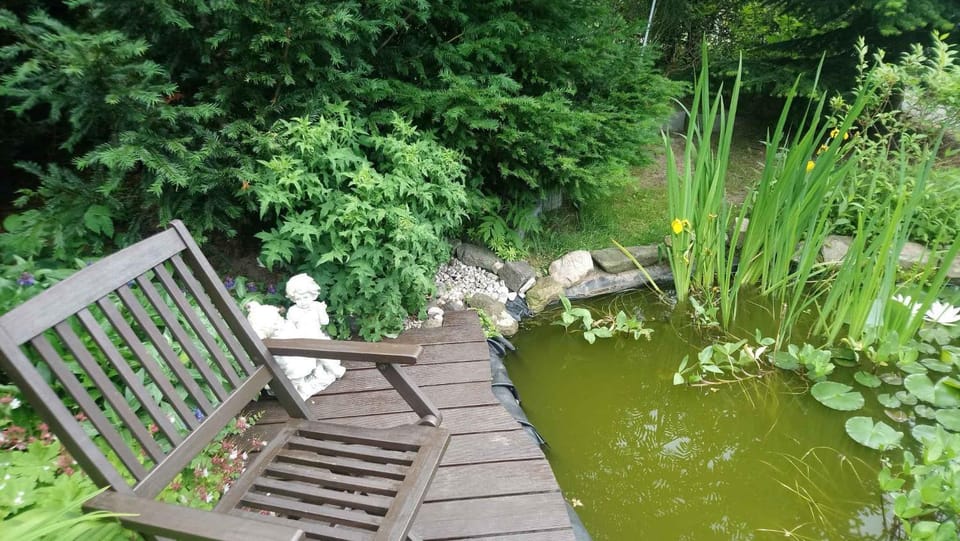 Summer, Garden