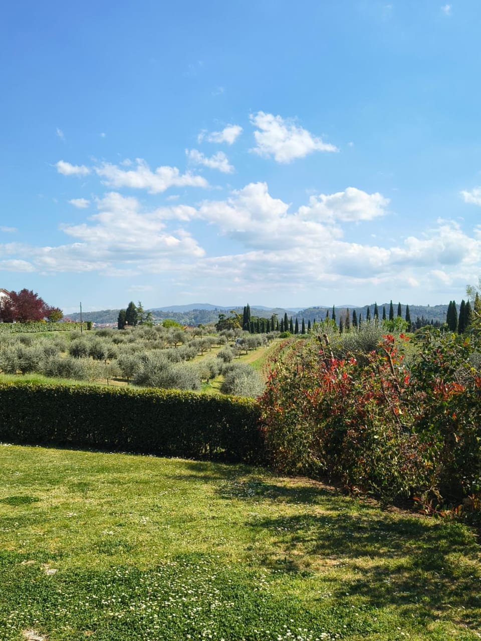 Garden view
