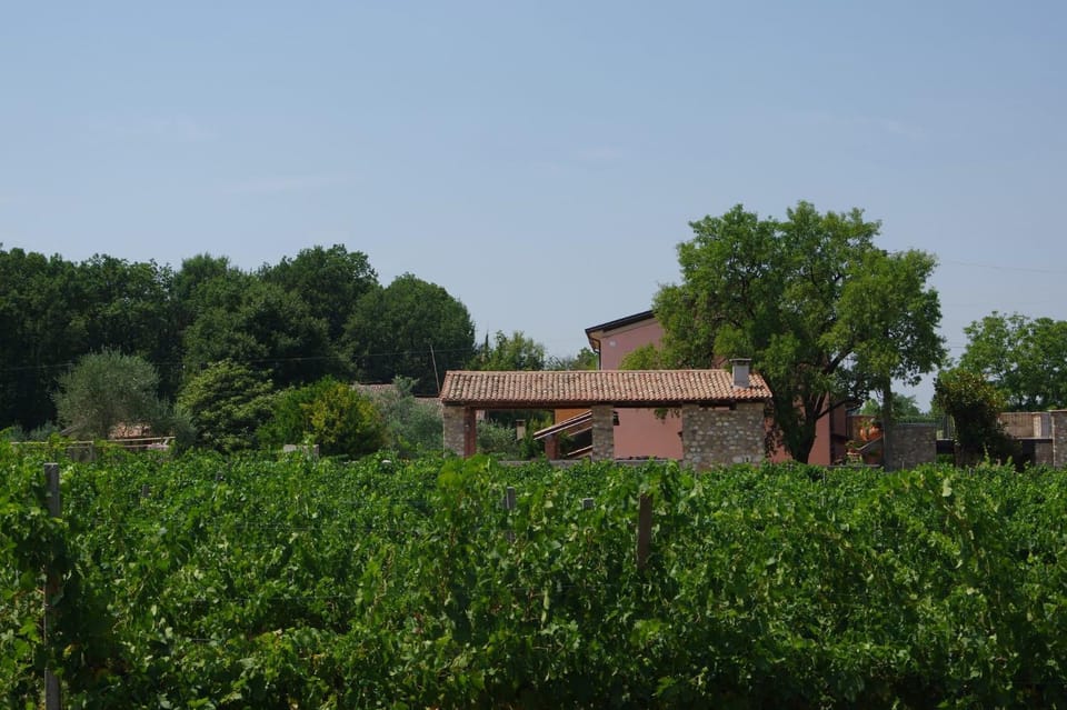Agriturismo La Casa Del Mandorlo Farm Stay in Province of Brescia