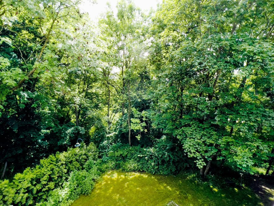 Natural landscape, Garden, Garden view