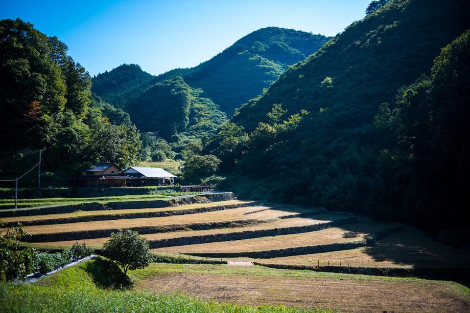 Natural landscape, Garden, Mountain view