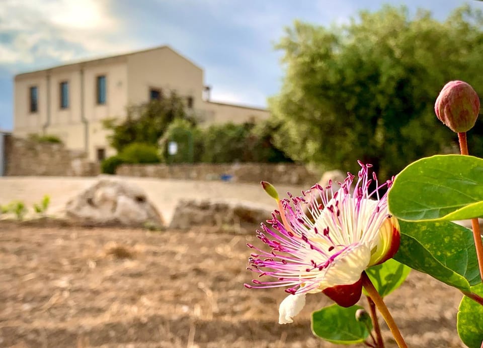 Pantanelli Di Vendicari Bed and Breakfast in Sicily