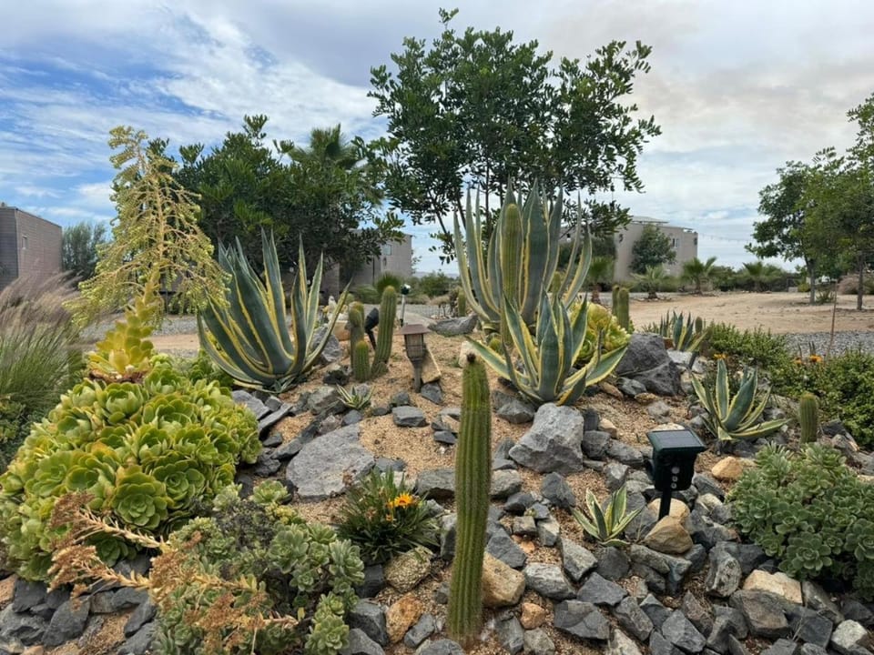 Rincón del Corazón Nature lodge in State of Baja California